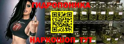 стафф Моздок