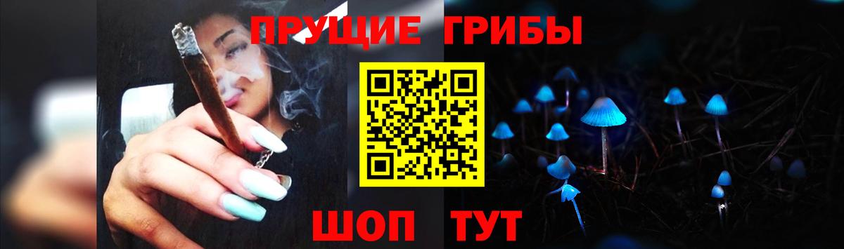 как найти   Псилоцибиновые грибы мицелий  Вход с VPN  Свободный 